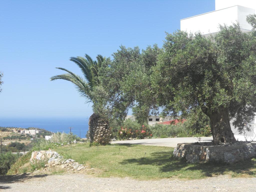 Galini Apartments Plakias Bagian luar foto