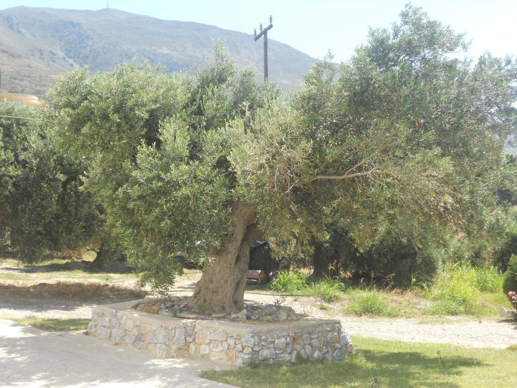 Galini Apartments Plakias Bagian luar foto